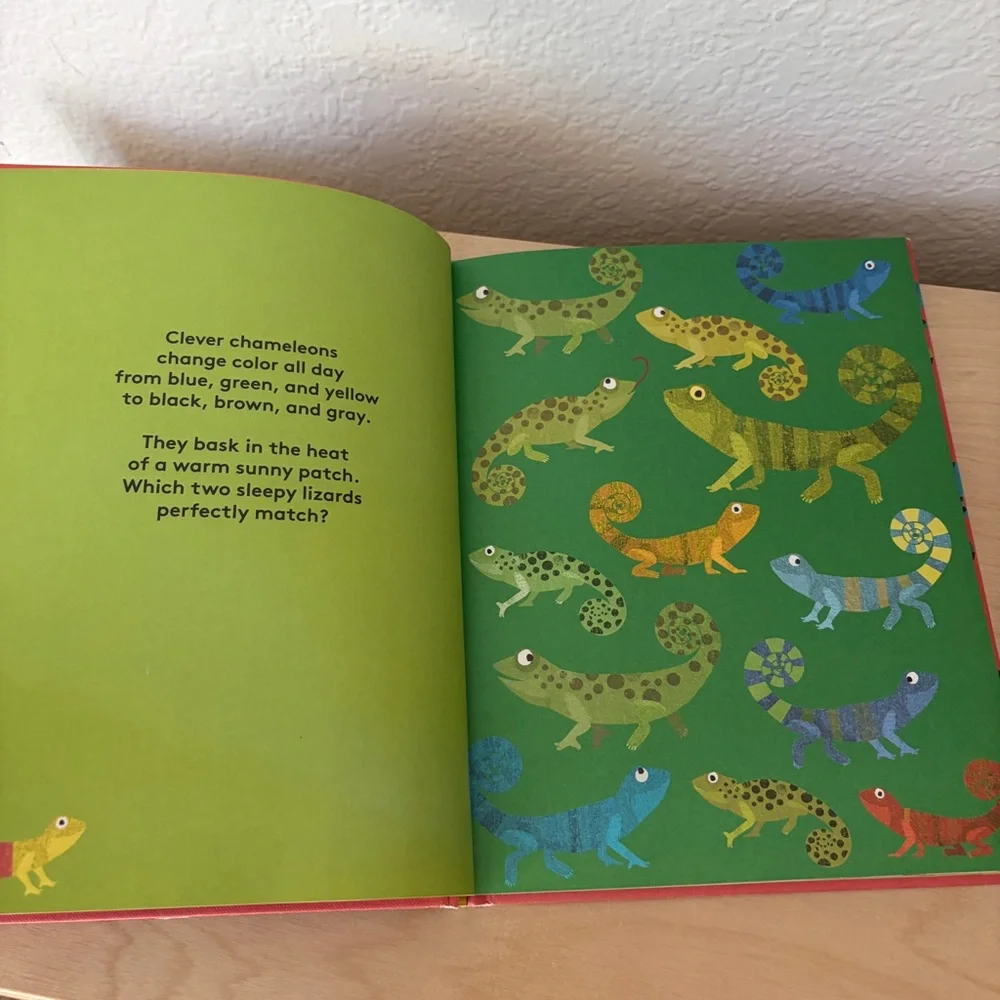 Where's The Pair? Spotting Book - Children’s Hardcover Book
